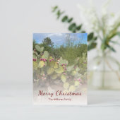 Wüste Südwest Prickly Birne Kaktus Weihnachten (Stehend Vorderseite)