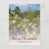 Wüste Südwest Prickly Birne Kaktus Weihnachten (Vorderseite)