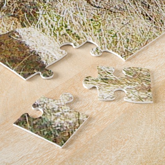 Wüste Südwest Rock Maze Jigsaw Puzzle (Seite)