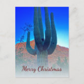 Wüste Südwestkaktus Foto Weihnachten (Vorderseite)