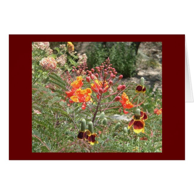 Wüste südwestliche Blume (Vorderseite (Horizontal))