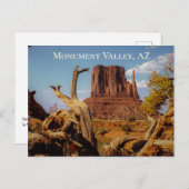 Wüste Südwestmonumentales Tal Arizona Postkarte (Vorne/Hinten)