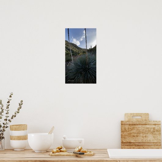 Wüste Südwestsotol Pflanze Landschaftlich Image Ar Poster (Küche)