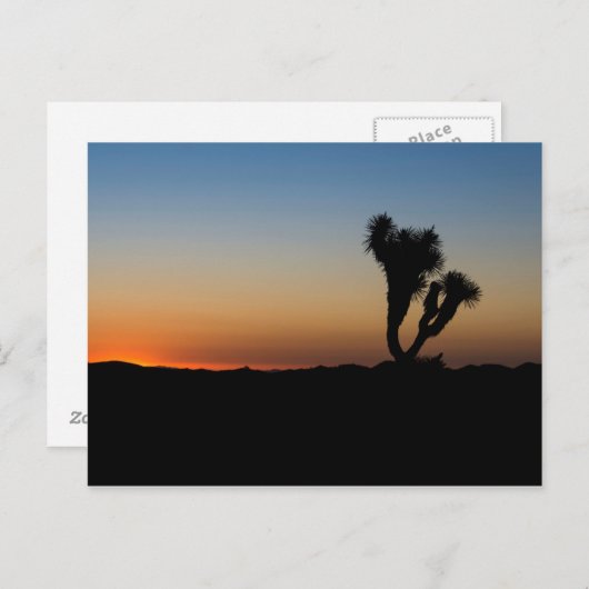 Wüste Sunrise Postkarte (Vorne/Hinten)