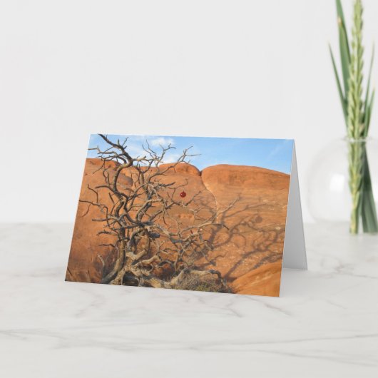 Wüste Tannenbaum Feiertagskarte (Vorderseite)