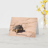 Wüste Tortoise Blank Grußkarte Karte (Gelbe Blume)