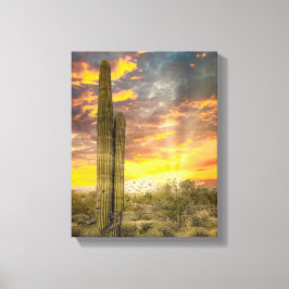 Wüste von Arizona 2706 bei Sonnenuntergang Leinwanddruck