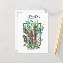 Wüste Wildblumen Nevada Indian Paintbrush Postkarte