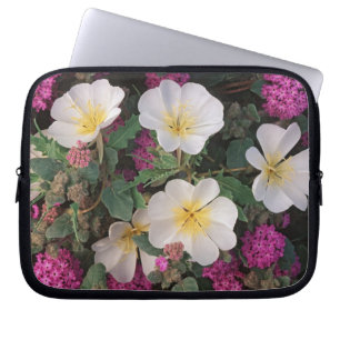 Wüsten-Abendprimel und Wüsten-Sandverbena, Laptopschutzhülle