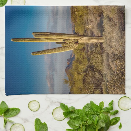 Wüsten | Aberglaube, Arizona Geschirrtuch (Gefaltet)