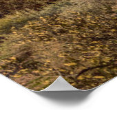 Wüsten | Aberglaube, Arizona Poster (Ecke)