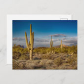 Wüsten | Aberglaube, Arizona Postkarte (Vorne/Hinten)