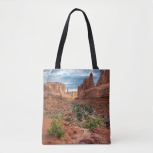 Wüsten   Arches National Park, Utah Tasche