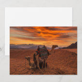 Wüsten | Bactrian Camel Egypt Sand Dune Dankeskarte (Vorne/Hinten)