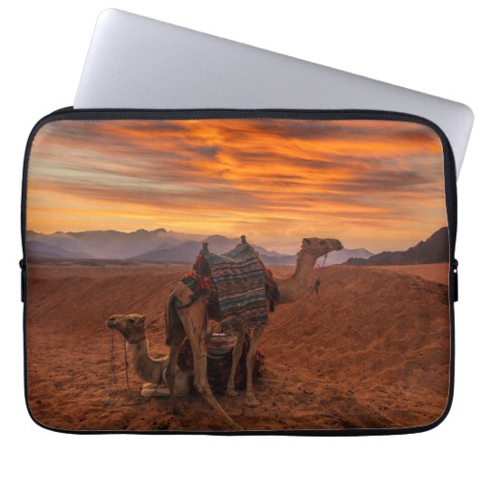 Wüsten | Bactrian Camel Egypt Sand Dune Laptopschutzhülle (Vorderseite)