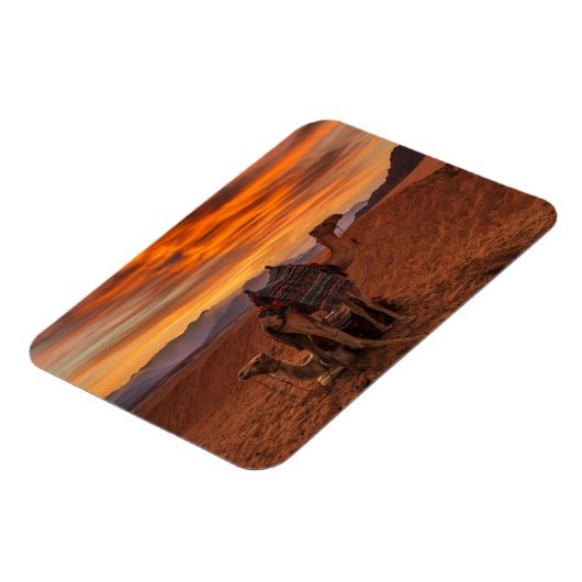 Wüsten | Bactrian Camel Egypt Sand Dune Magnet (Linke Seite)