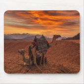 Wüsten | Bactrian Camel Egypt Sand Dune Mousepad (Vorne)