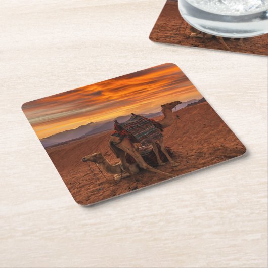 Wüsten | Bactrian Camel Egypt Sand Dune Rechteckiger Pappuntersetzer (angewinkelt)