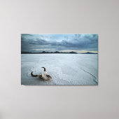 Wüsten | Bonneville Salt Flats Utah Leinwanddruck (Vorderseite)