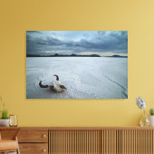 Wüsten | Bonneville Salt Flats Utah Leinwanddruck (Insitu (Wohnzimmer))