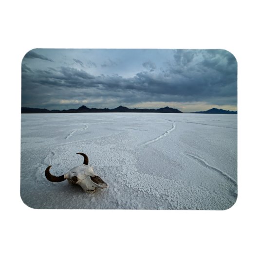 Wüsten | Bonneville Salt Flats Utah Magnet (Horizontal)
