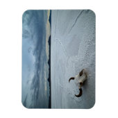 Wüsten | Bonneville Salt Flats Utah Magnet (Vertikal)