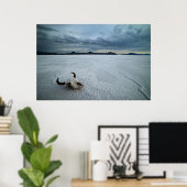 Wüsten | Bonneville Salt Flats Utah Poster (Heimbüro)