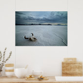 Wüsten | Bonneville Salt Flats Utah Poster (Küche)