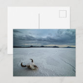 Wüsten | Bonneville Salt Flats Utah Postkarte (Vorne/Hinten)