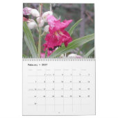 Wüsten-botanischer Garten Kalender (Feb 2027)
