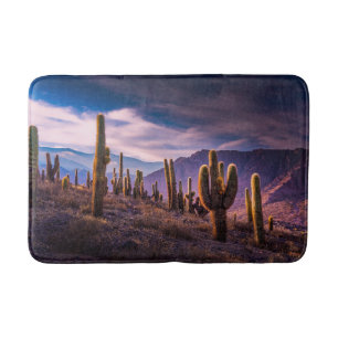 Wüsten Cactus Landscape Argentinien Badematte