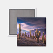 Wüsten | Cactus Landscape Argentinien Magnet (Vorderseite/Rückseite)