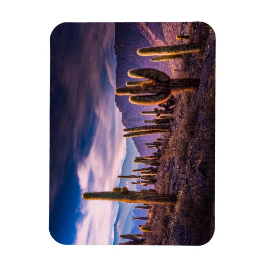 Wüsten | Cactus Landscape Argentinien Magnet (Vertikal)