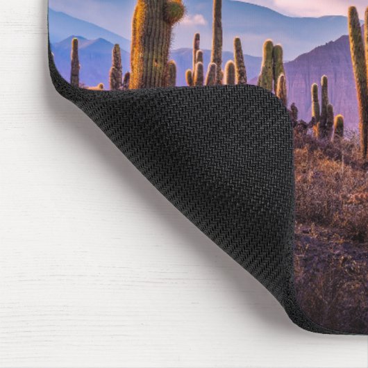 Wüsten | Cactus Landscape Argentinien Mousepad (Ecke)