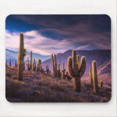 Wüsten | Cactus Landscape Argentinien Mousepad (Vorne)