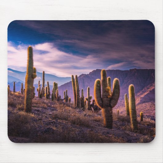 Wüsten | Cactus Landscape Argentinien Mousepad (Vorne)