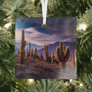 Wüsten   Cactus Landscape Argentinien Ornament Aus Glas