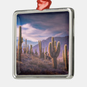 Wüsten | Cactus Landscape Argentinien Ornament Aus Metall (Links)