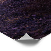 Wüsten | Cactus Landscape Argentinien Poster (Ecke)