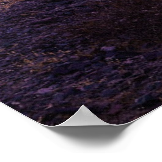 Wüsten | Cactus Landscape Argentinien Poster (Ecke)