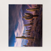 Wüsten | Cactus Landscape Argentinien Puzzle (Vertikal)