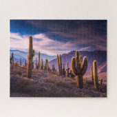 Wüsten | Cactus Landscape Argentinien Puzzle (Horizontal)