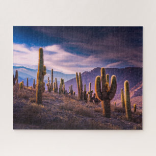 Wüsten   Cactus Landscape Argentinien Puzzle