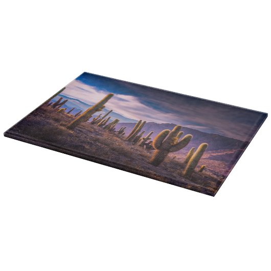 Wüsten | Cactus Landscape Argentinien Schneidebrett (Ecke)