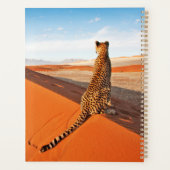 Wüsten | Cheetah Savannah Wüste Planer (Rückseite)