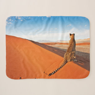 Wüsten Cheetah Savannah Wüste Sherpadecke