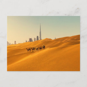 Wüsten   Dubais Skyline-Ansicht mit Kameln Postkarte