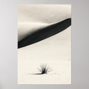 Wüsten-Dünen-Schatten Monochrome Naturposter Poster