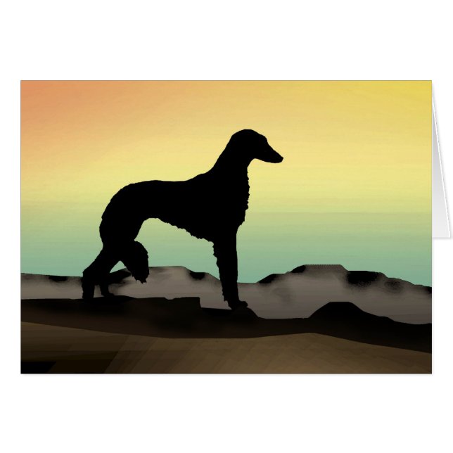 Wüsten-Hund Saluki (Vorderseite (Horizontal))