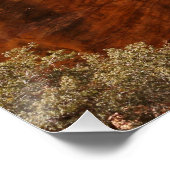 Wüsten im Wüstenlandschaftsbild der Vereinigten St Poster (Ecke)